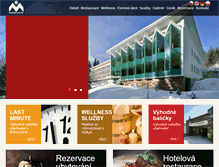 Tablet Screenshot of hotelmontana.cz